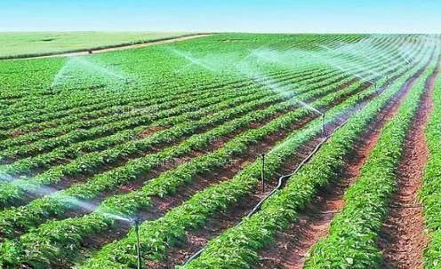 小骚逼被大鸡巴艹视频农田高 效节水灌溉